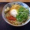 瀬戸うどん - 七味は入れ過ぎました