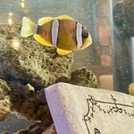 AQUA Table - 可愛いお魚ちゃん(ﾉ◕ヮ◕)ﾉ*.✧