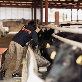 自社牧場で丹精込めて育てた上質な黒毛和牛のみを提供しています