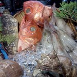 三代目とも - 魚たちのアップ