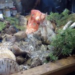 三代目とも - カウンター角のディスプレイの魚たち