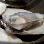 三代目とも - ぷっくらしています