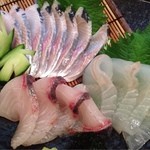 みさき - にしん 平目 カンパチ