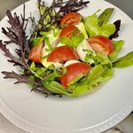 Campania buffalo mozzarella salad