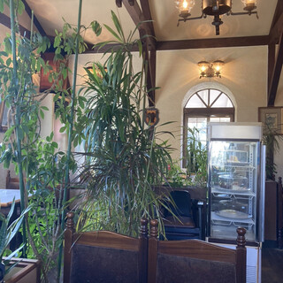 エーデルワイス_2