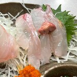 Sashimi Washoku Asahiya - オニカサゴ 肝