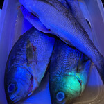 カラオケ居酒屋 けんちゃん - 