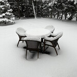 フォリオリーナ・デッラ・ポルタ・フォルトゥーナ - 