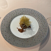 フォリオリーナ・デッラ・ポルタ・フォルトゥーナ - 