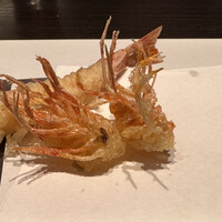 天冨良 よこ田 - 