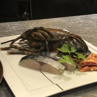 名駅 鉄板焼き 森本Ｘ Premium - 