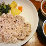 初台スパイス食堂 和魂印才たんどーる - 202302