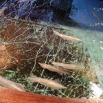 寅八商店 三宮店 - 