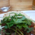 タコス　ハルディン - 23/02