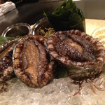 銀座うかい亭 - 