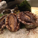 銀座うかい亭 - 