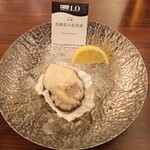 THE CAVE DE OYSTER - 