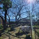 リバーワイルド - 