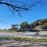 リバーワイルド - 