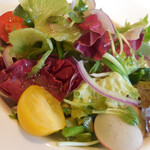 四川豆花飯荘 - 本日のサラダ；アップ