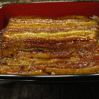 明神下 神田川 本店 - 
