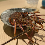 蓬左茶寮 - 1月の夜コース