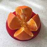 リストランテ ピッツェリア ジャンカルロ トウキョウ - 翌朝〜愛媛の甘平