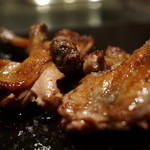 SIO syuji hijikuro - 小鳩の手羽