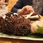 あまみの魚たち - 