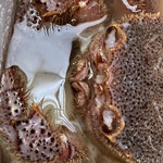 季節料理 みかみ - 