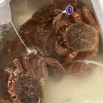 季節料理 みかみ - 