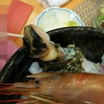 磯料理 光力 - 限定５食海鮮丼の牡丹海老、巻貝等(H28.2.9撮影)
