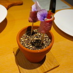 ル・タン・ペルデュ - 苺と鴨のプランター