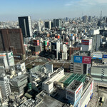 Negishi - エルタワー　ビル30階からの景色