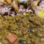 スパイスカレーまるせ - ポークキーマカレー。今まで食べたキーマで1番美味しいかも！スパイシーで味わい深い。