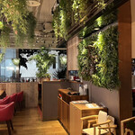 Botanical Garden SARU CAFE - 