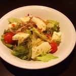 モッツァレラチーズと新鮮トマトのローマ風サラダ