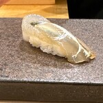 あま木 - サヨリ