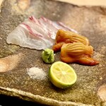 道人 - ⑤明石の鯛と大分の赤貝のお造り
      ～オーソドックスな明石の鯛とこれまた味わいある赤貝。赤貝の飾り包丁が美しい♫