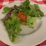 TRATTORIA E PIZZERIA ELEFANTE - 