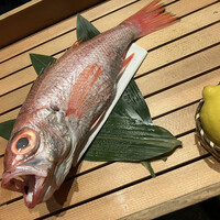 のどぐろ専門 銀座中俣 はなれ - 