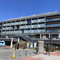 COLONIAL BEACH 横浜ハンマーヘッド - 