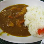 Hanamaru Udon - どこにでもある日本のカレー風