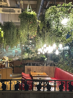 Botanical Garden SARU CAFE - 