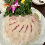 Pohan Sashimi - 