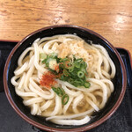 うつ海うどん - かけうどん大