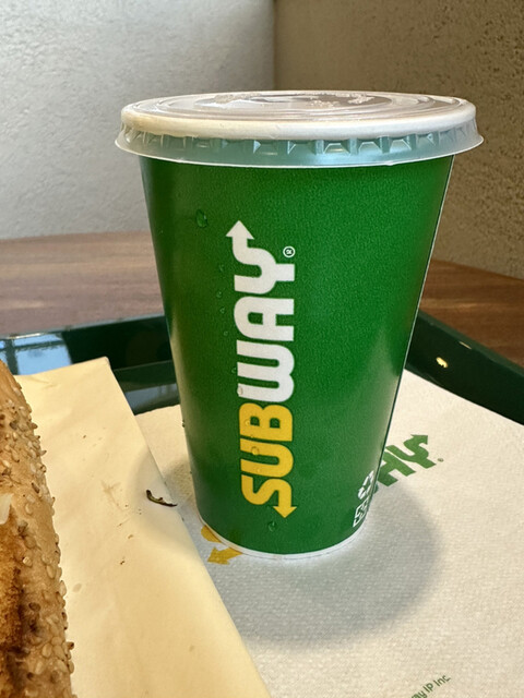 SUBWAY Ion Moru Nagoya Domu Mae Ten