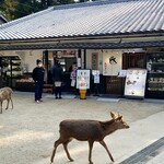Azekuraya - 東大寺の境内、二月堂近く