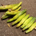 鳥さわ - 金針菜