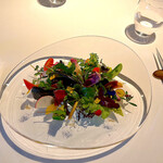 レフェルヴェソンス - サラダ